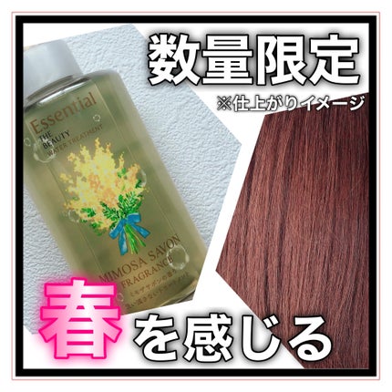 エッセンシャル ザビューティ ウォータートリートメント EXスムース ミモザサボンの香り /エッセンシャル/洗い流すヘアトリートメントを使ったクチコミ(1枚目)