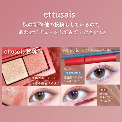 エテュセ フェイスエディション(パウダー)/ettusais/プレストパウダーを使ったクチコミ(6枚目)