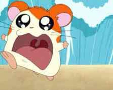 ã䜿ã£ãã¯ãã³ãïŒ1æç®ïŒ