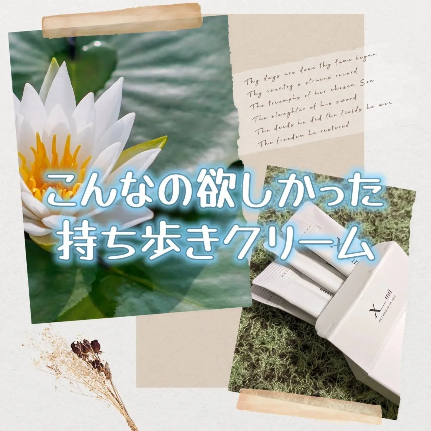 シルキーエアリーSooクリーム/xmii/フェイスクリームを使ったクチコミ(1枚目)