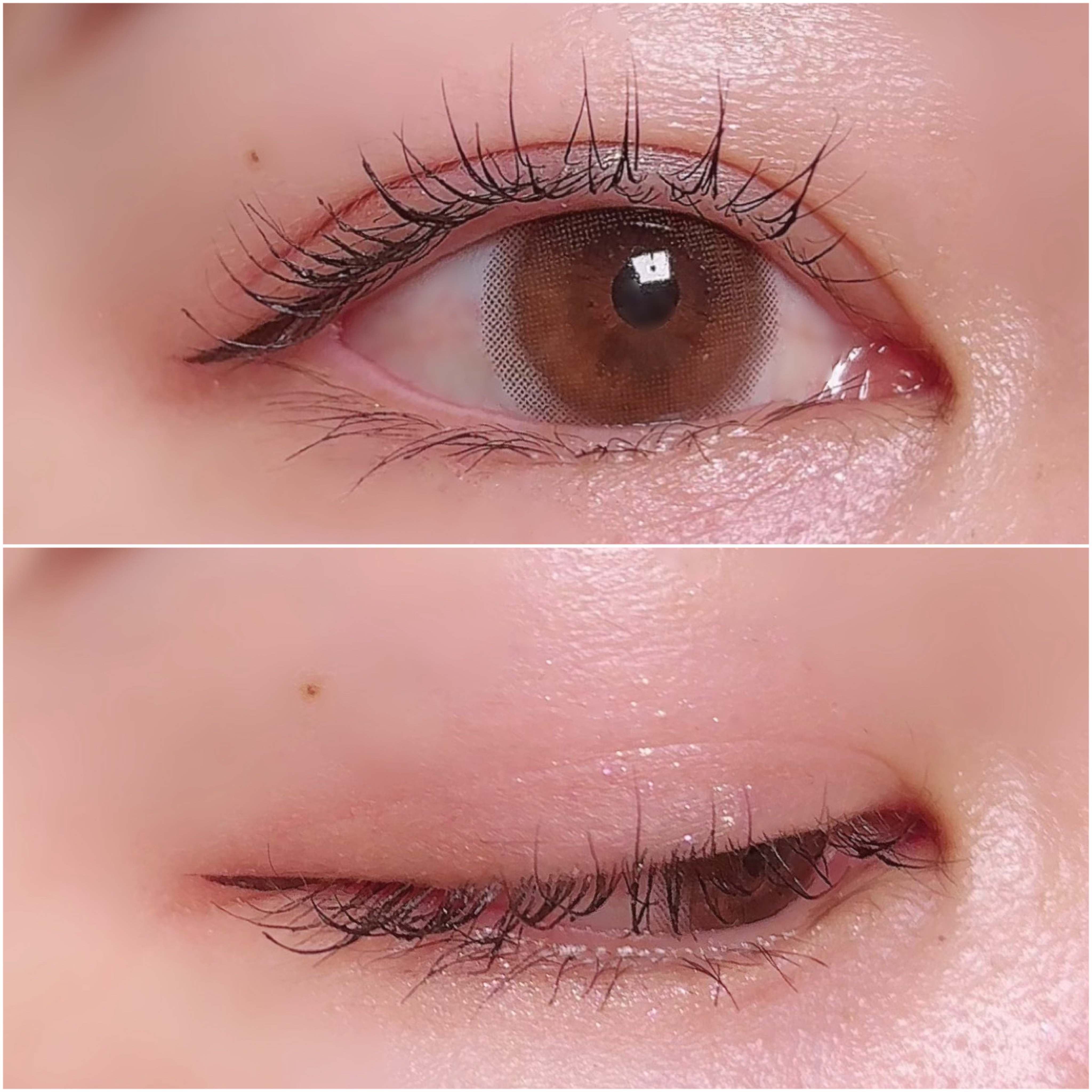 エッセンシャルアイパレット/BBIA/マルチパレットを使ったクチコミ（3枚目）