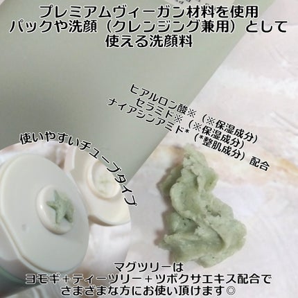 ヴィーガンパッククレンザーチューブ/WHIPPED/洗顔フォームを使ったクチコミ(2枚目)