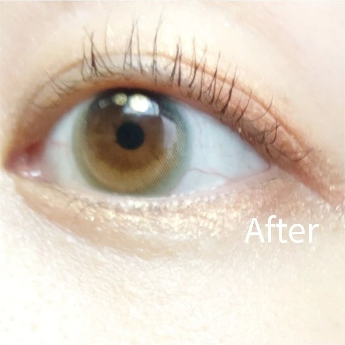 ワンデーリフレア　メレシェス/Refrear/ワンデー（１DAY）カラコンを使ったクチコミ（1枚目）