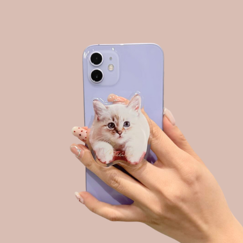 MilleFéeの大人気猫シリーズ「マイキティアイパレット」から待望の新色3色が登場!の画像