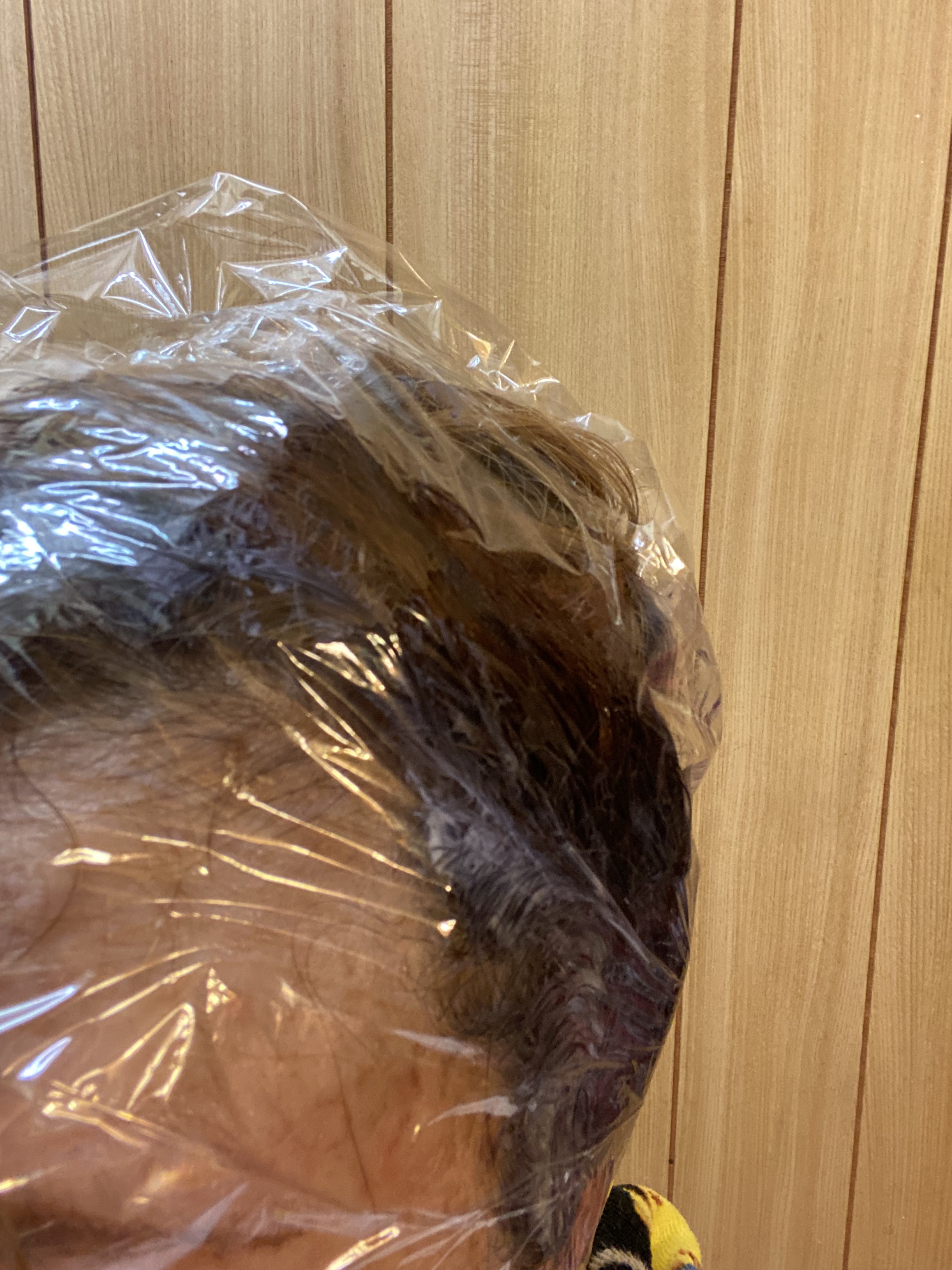 ヘアカラーミルキー 0 ひときわ明るいライトブラウン/CIELO/ヘアカラーを使ったクチコミ（2枚目）