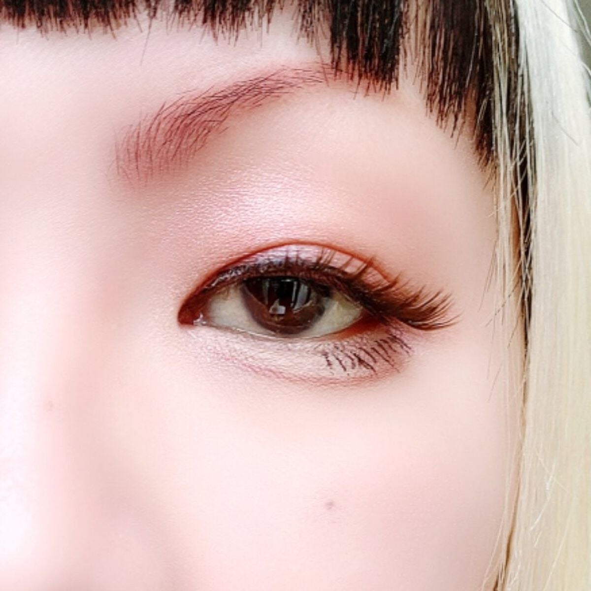 ニュアンスオンアイシャドウ/CEZANNE/アイシャドウパレットを使ったクチコミ(5枚目)