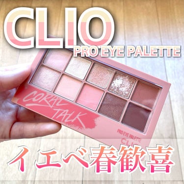 プロ アイ パレット/CLIO/アイシャドウパレットを使ったクチコミ（1枚目）