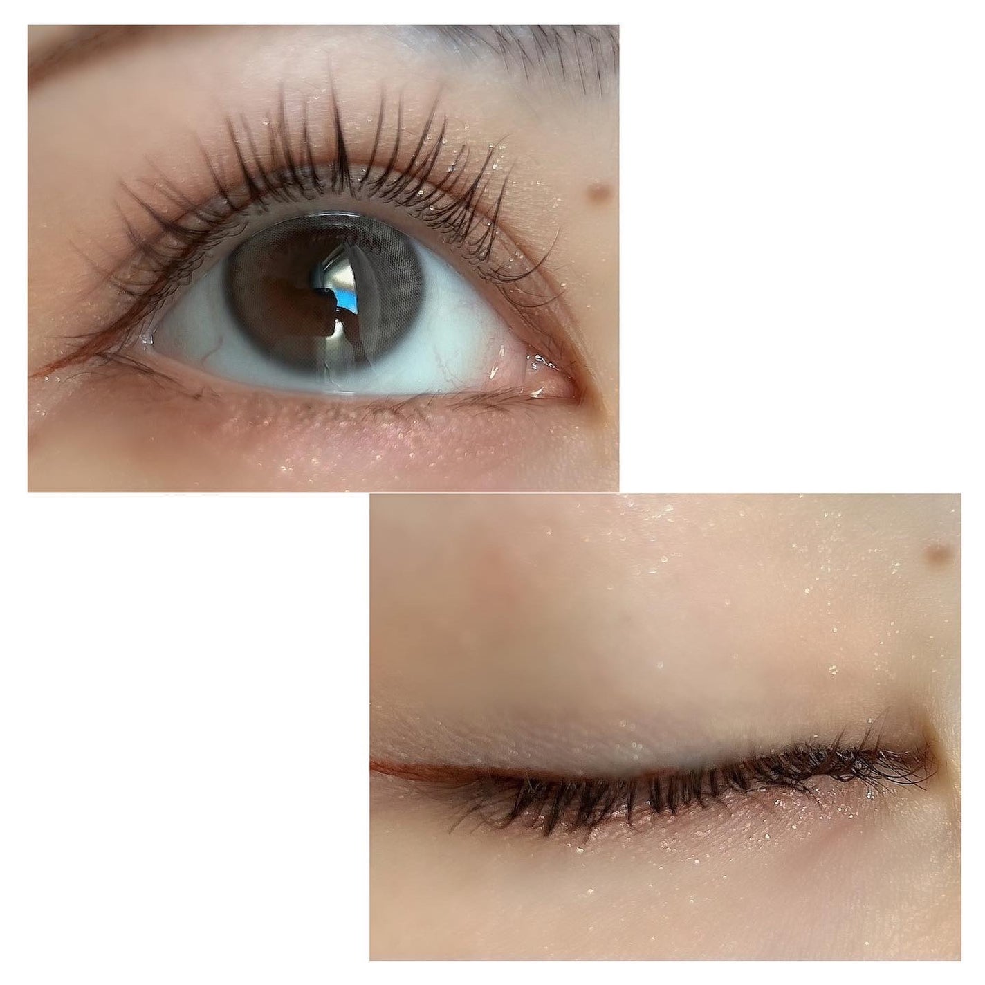 マスカラ/3650/マスカラを使ったクチコミ(7枚目)