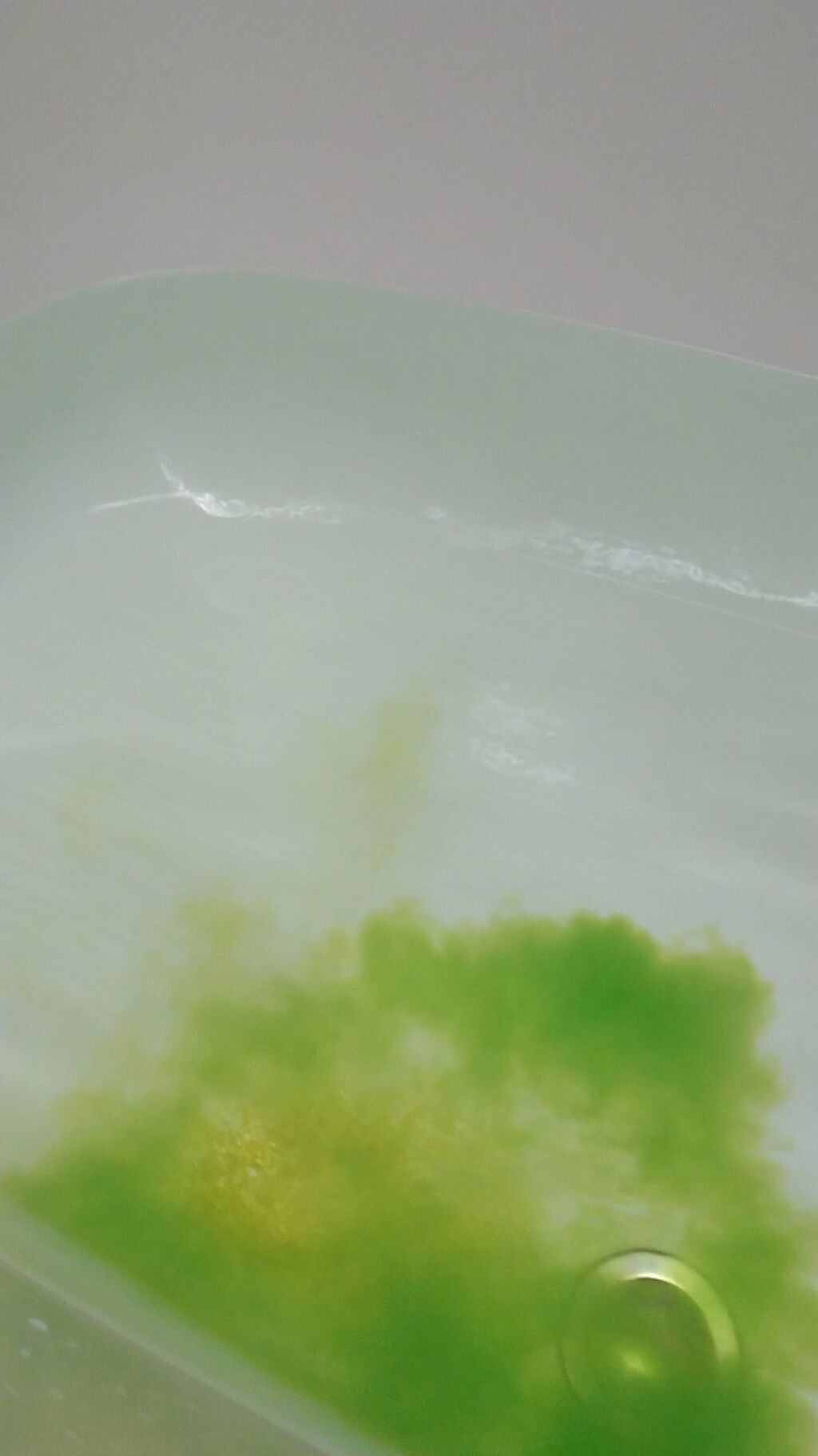 アーユルタイム レモングラス&ベルガモットの香り/バスクリン/無機塩系入浴剤を使ったクチコミ(3枚目)