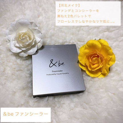 &be ファンシーラー/&be/パレットコンシーラーを使ったクチコミ(1枚目)