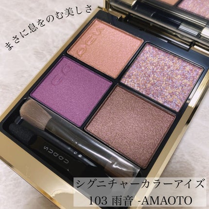 シグニチャー カラー アイズ/SUQQU/アイシャドウパレットを使ったクチコミ(6枚目)