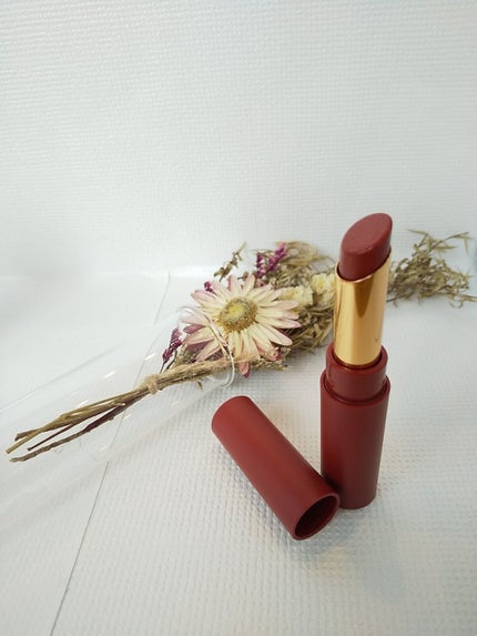 エテュセ リップエディション(ティントルージュ) 06 ブリックレッド/ettusais/リップティントの画像