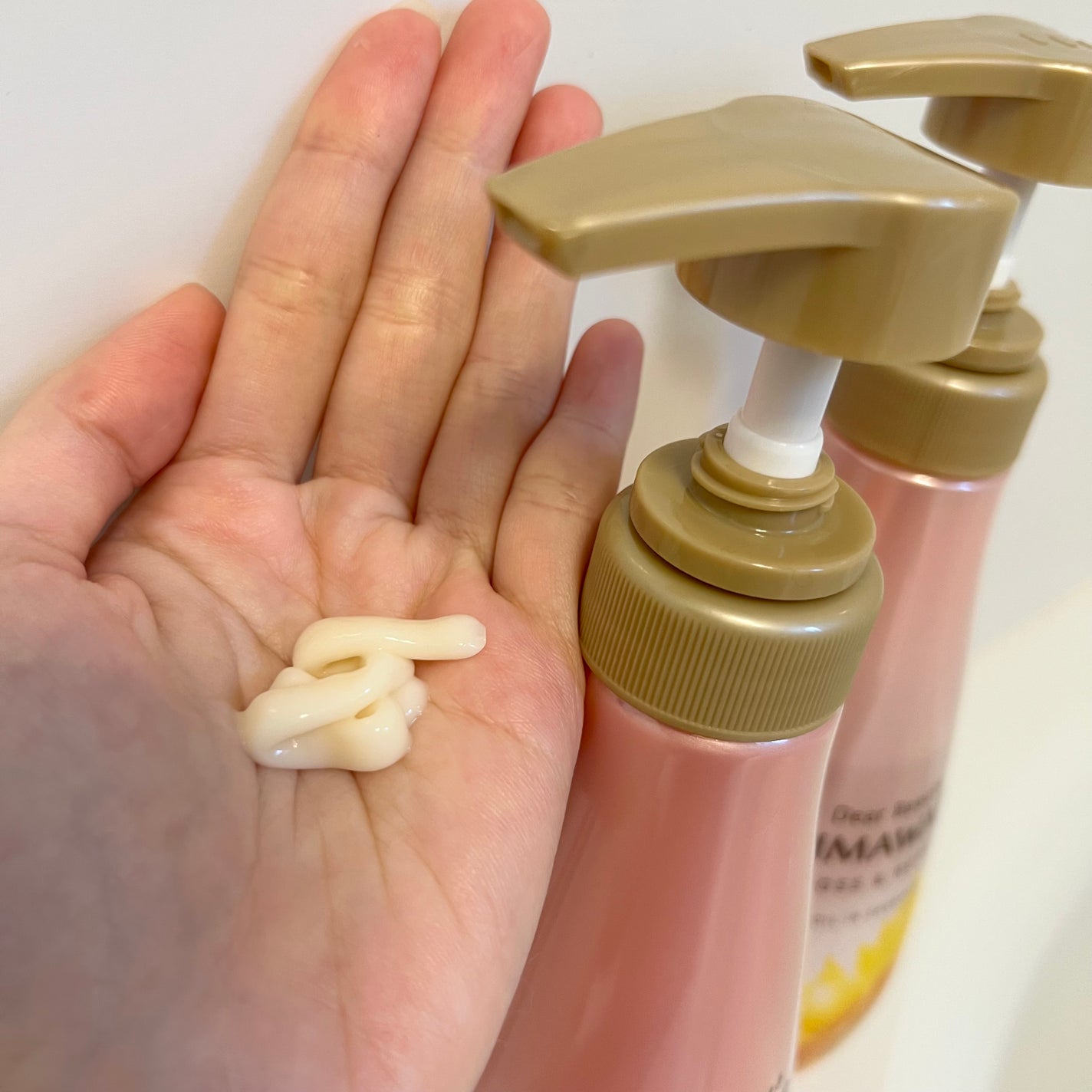 ãªã€ã«ã€ã³ã·ã£ã³ããŒïŒãªã€ã«ã€ã³ã³ã³ãã£ã·ã§ã㌠(ã°ãã¹ïŒãªãã¢)/ãã£ã¢ããŒã/åžè²©ã·ã£ã³ããŒã䜿ã£ãã¯ãã³ãïŒ3æç®ïŒ