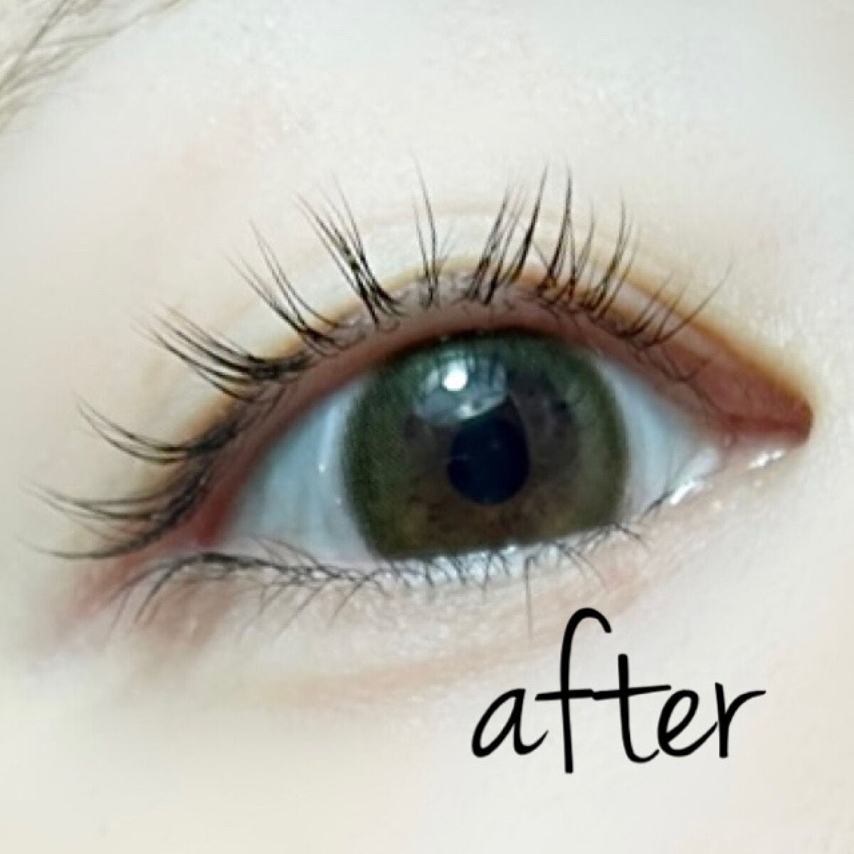 マジックティント/MAJOLICA MAJORCA/マスカラを使ったクチコミ(5枚目)