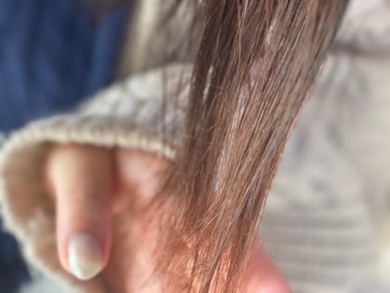 スーパーリッチシャイン ダメージリペア とろとろ補修ヘアオイル/LUX/ヘアオイルを使ったクチコミ(3枚目)