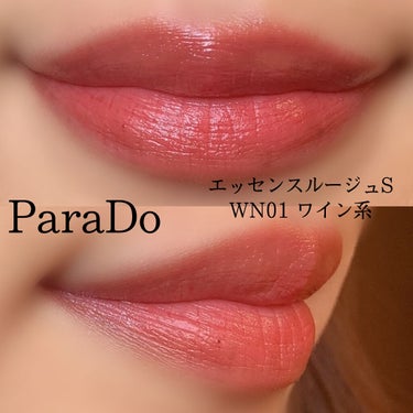 エッセンスルージュS WN01 ワイン系/パラドゥ/口紅の画像