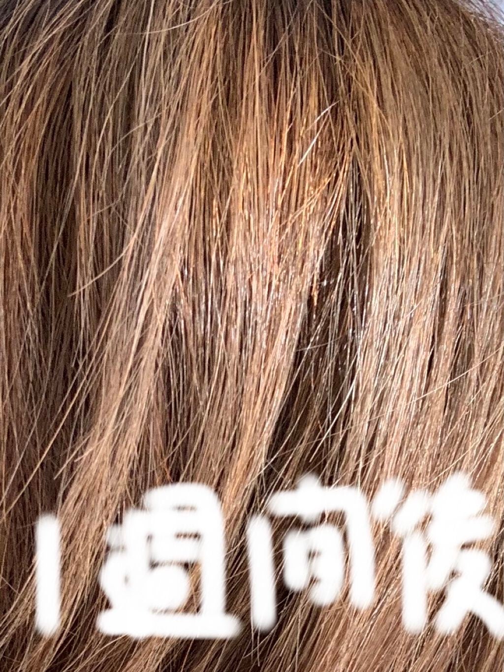 エンシェールズカラーバター/エンシェールズ/ヘアカラーを使ったクチコミ(5枚目)