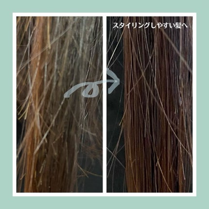 ファイブハーブス リペアリングヘアミルクセラム/L'OCCITANE/ヘアミルクを使ったクチコミ(2枚目)