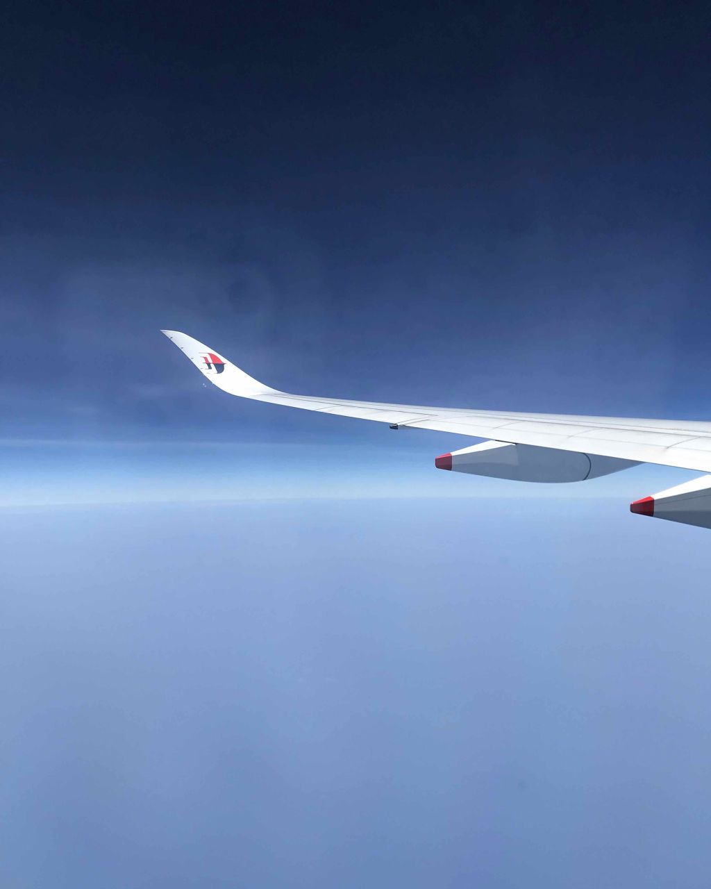 コンパクトスタイラー/TANGLE TEEZER/ヘアブラシを使ったクチコミ(3枚目)