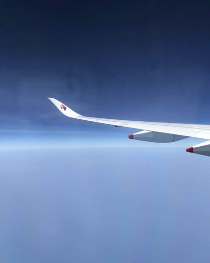 コンパクトスタイラー/TANGLE TEEZER/ヘアブラシを使ったクチコミ(3枚目)