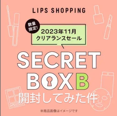 【2023年11月 クリアランスセール】シークレットボックス B/LIPS/その他キットセットを使ったクチコミ（1枚目）