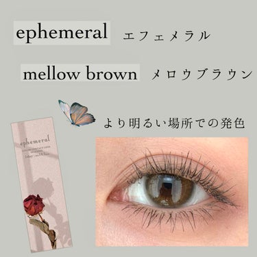 エフェメラル ワンデー mellow brown/ephemeral/ワンデー（１DAY）カラコンを使ったクチコミ（2枚目）