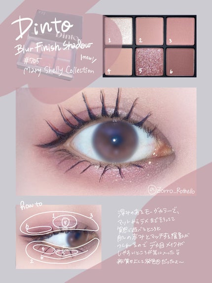 ブラーフィニシュシャドウパレット/Dinto/アイシャドウパレットを使ったクチコミ(2枚目)