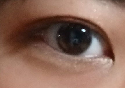 ヴィンテージモードアイズ/KATE/アイシャドウパレットを使ったクチコミ(6枚目)