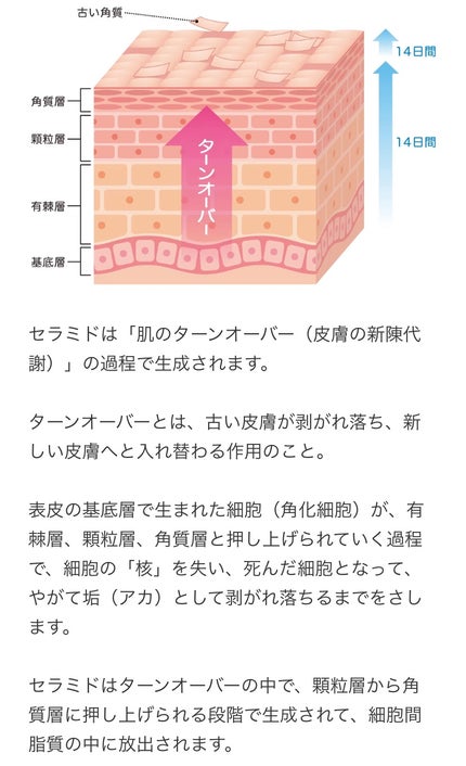 セラミドショット美容液/AMPLE:N/美容液を使ったクチコミ(7枚目)