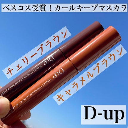 パーフェクトエクステンション マスカラ for カール/D-UP/マスカラを使ったクチコミ(1枚目)
