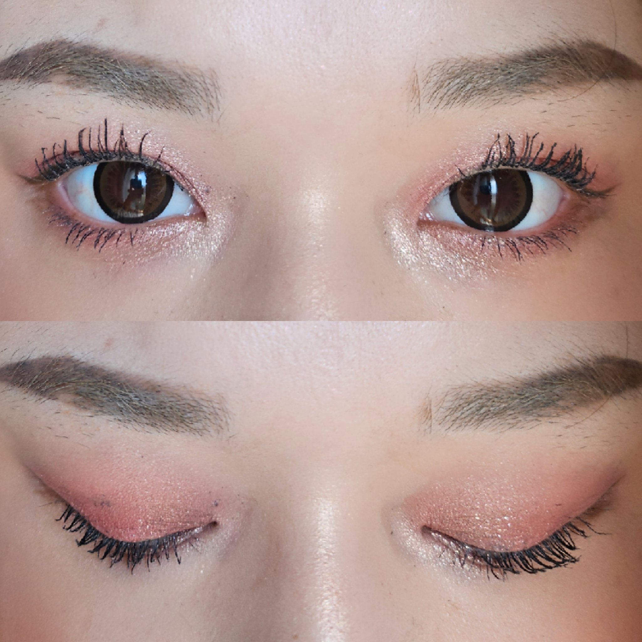 ラッシュボーン ブラックファイバーイン/MAJOLICA MAJORCA/マスカラ下地を使ったクチコミ（3枚目）