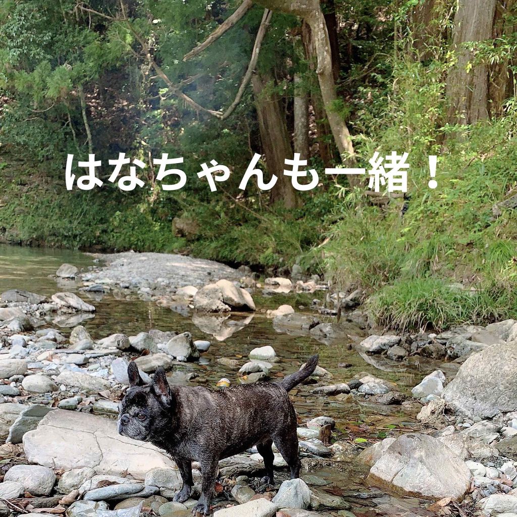 トーン タッチ アイズ/SUQQU/単色アイシャドウを使ったクチコミ(4枚目)