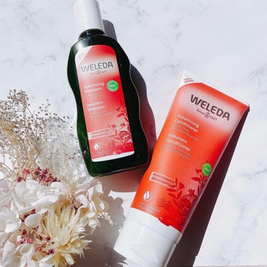 WELEDA ざくろ ヘアシャンプー／ヘアコンディショナーのクチコミ「   
   
   
┈┈┈┈┈┈┈ ❁ ❁.....」（1枚目）