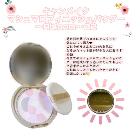 ラスタリングシアーパウダー/excel/プレストパウダーを使ったクチコミ(2枚目)