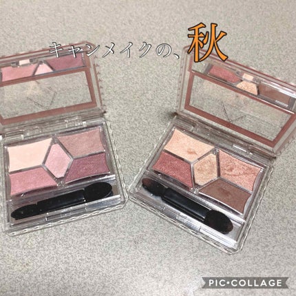 【旧品】パーフェクトスタイリストアイズ/キャンメイク/アイシャドウパレットを使ったクチコミ(1枚目)