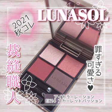 アイカラーレーション EX14（限定発売）/LUNASOL/パウダーアイシャドウを使ったクチコミ（1枚目）