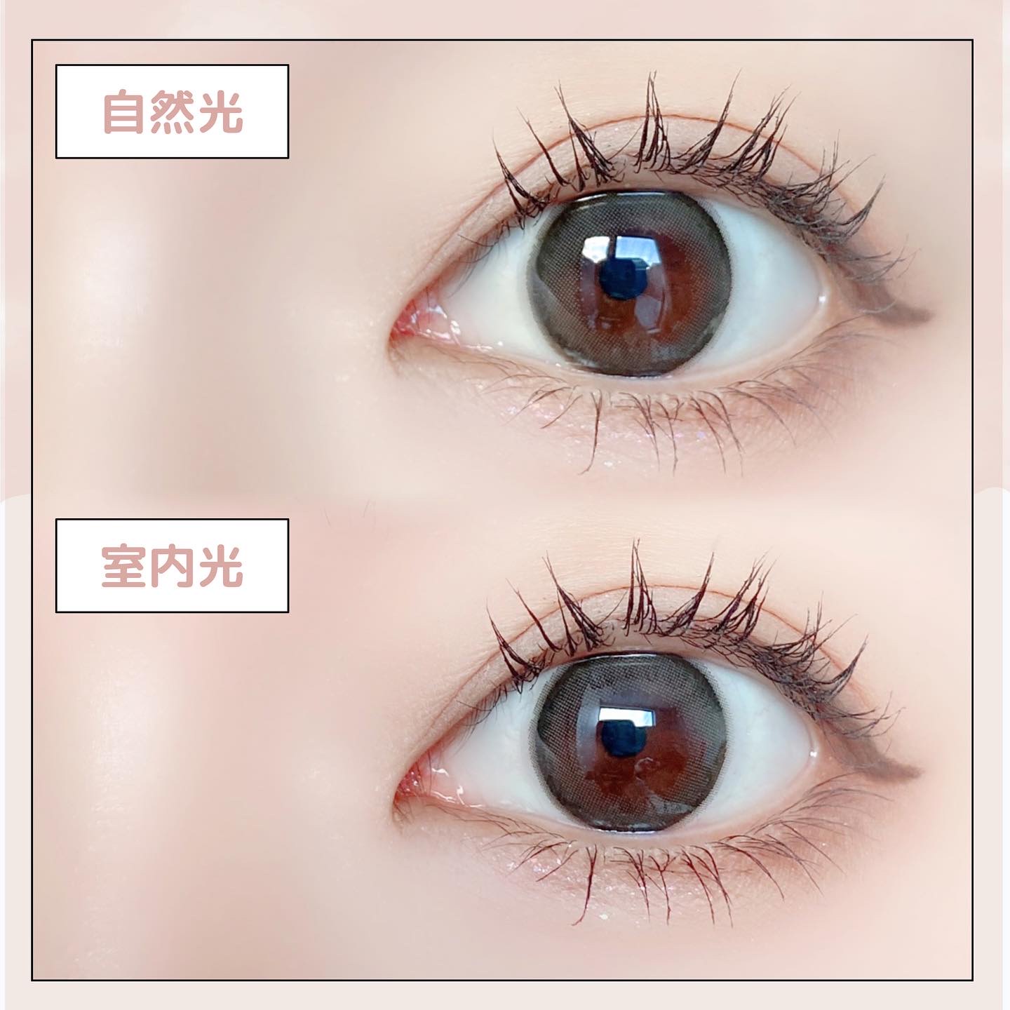 エバーカラーワンデーミリモア/エバーカラー/ワンデー（１DAY）カラコンを使ったクチコミ（3枚目）