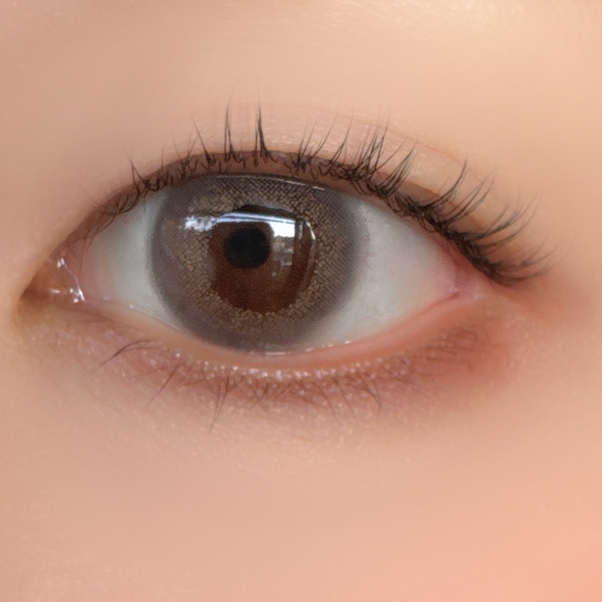 Angelcolor Bambi Series Vintage 1day ヴィンテージグレー/AngelColor/ワンデー（１DAY）カラコンを使ったクチコミ（2枚目）