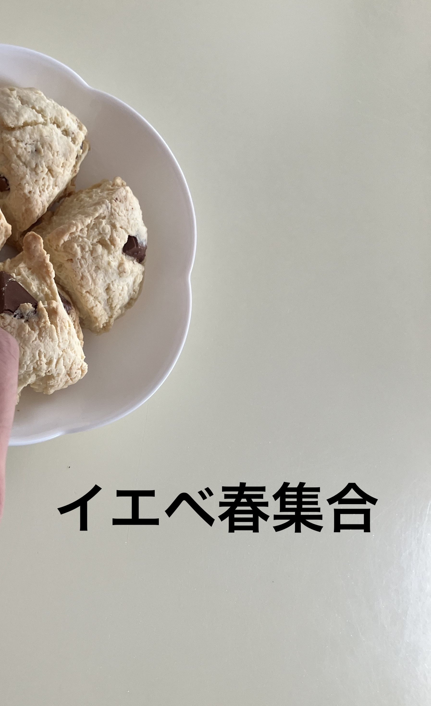 シルキースフレアイズ（マットタイプ）/キャンメイク/アイシャドウパレットを使ったクチコミ（1枚目）