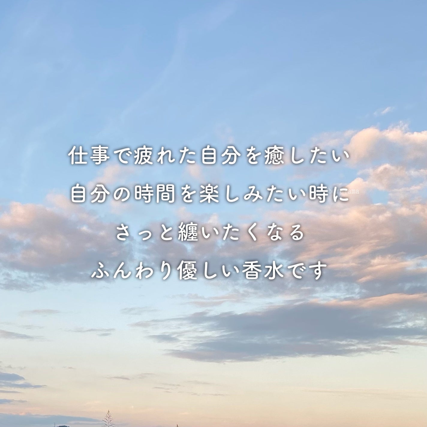 scent2 /SORA scentique/香水(その他)を使ったクチコミ(4枚目)