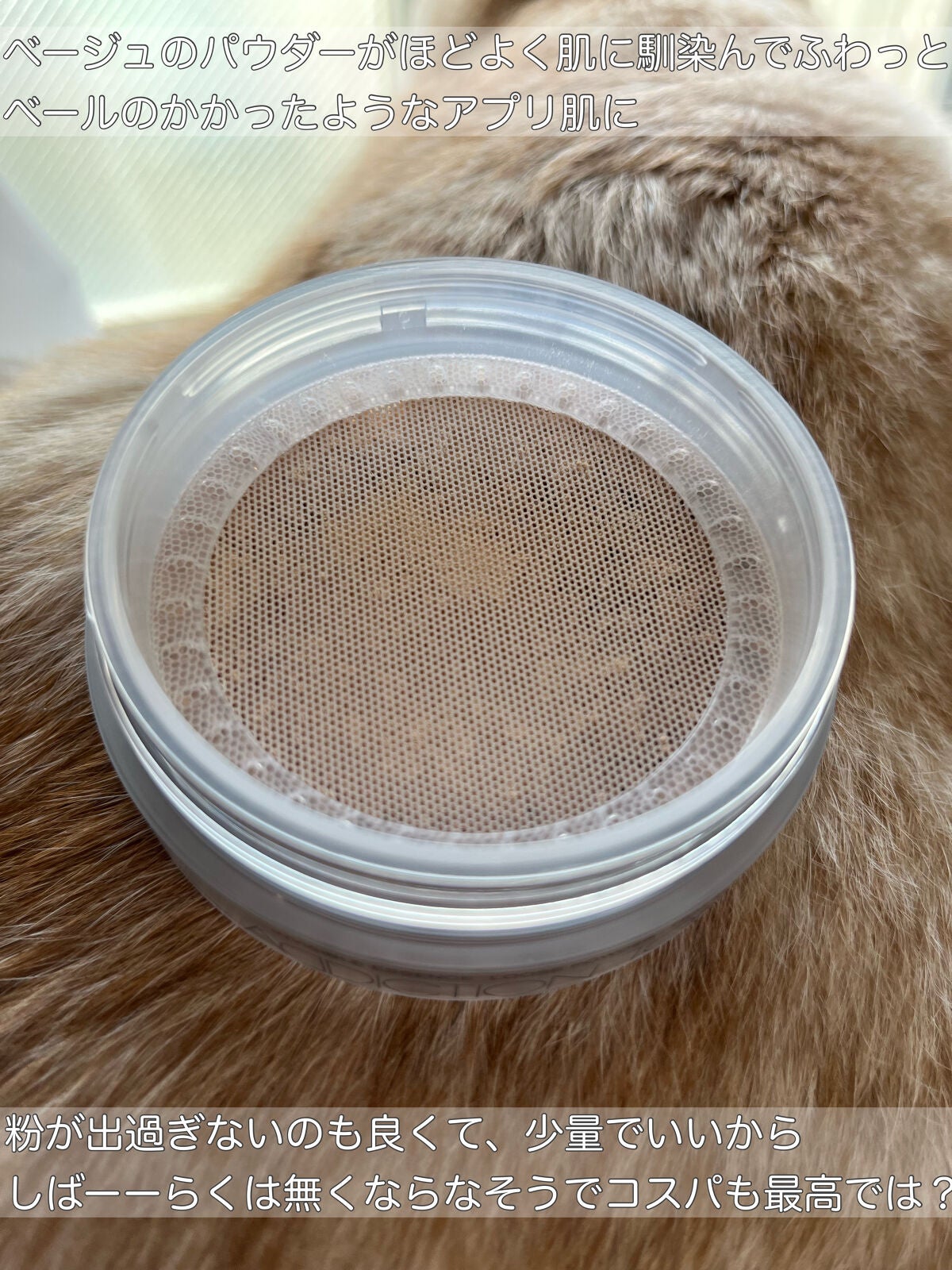 インビジブル エッセンス ルースパウダー トランスルーセント /ADDICTION/ルースパウダーを使ったクチコミ(2枚目)