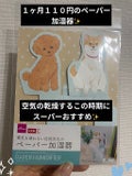 DAISO電気を使わない自然気化のペーパー加湿器