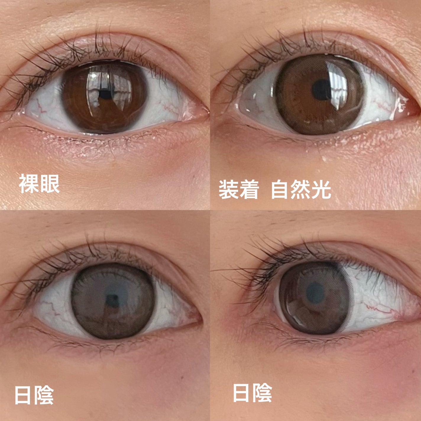 エバーカラーワンデー ナチュラル/エバーカラー/ワンデー(1DAY)カラコンを使ったクチコミ(2枚目)