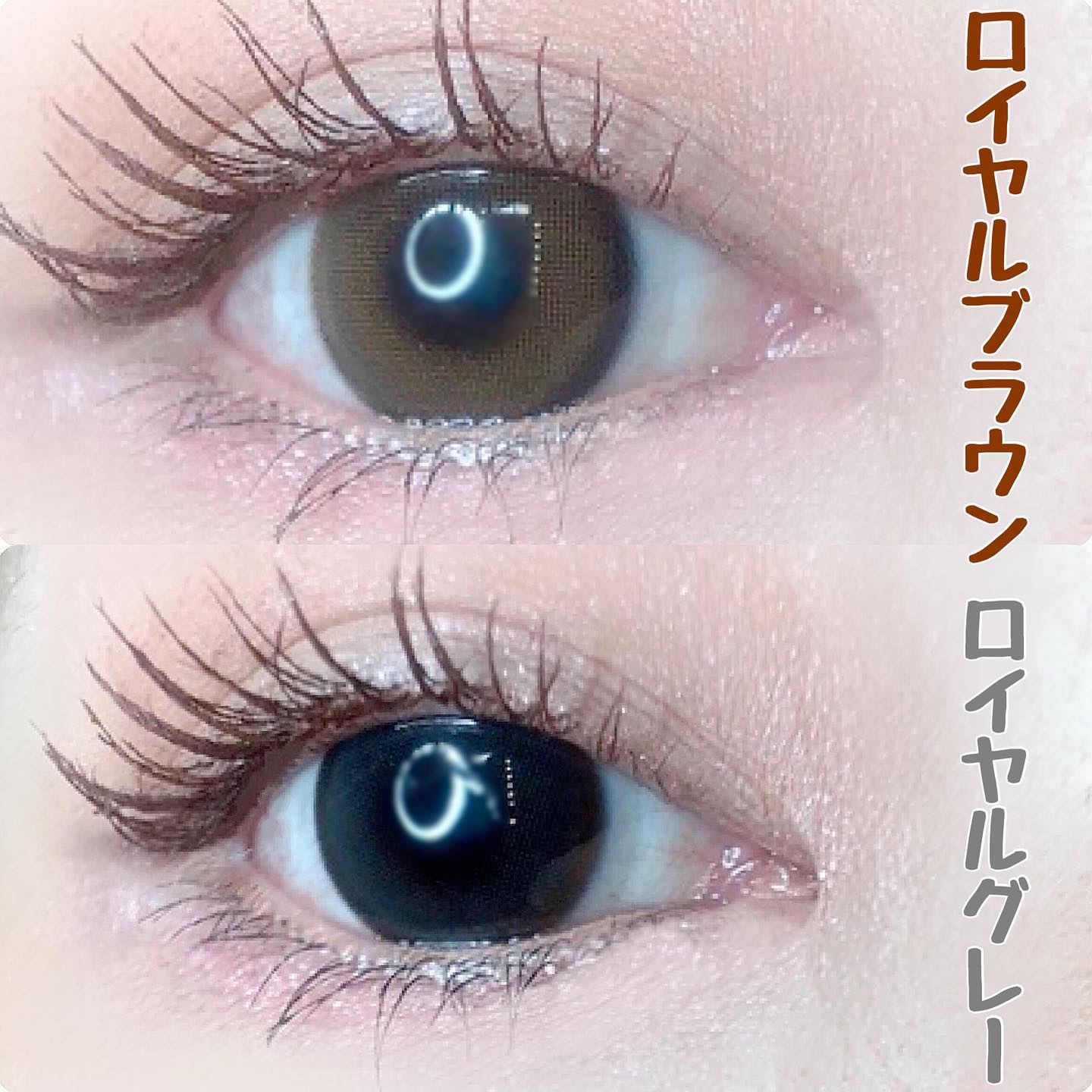 i-sha/蜜のレンズ/カラーコンタクトレンズを使ったクチコミ（3枚目）