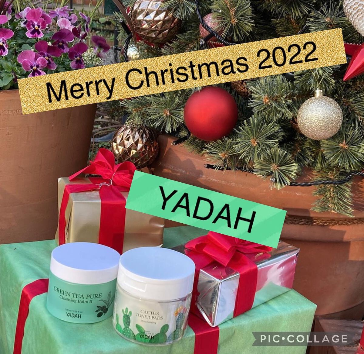 カクタストナーパッド/YADAH/トナーパッドを使ったクチコミ（1枚目）