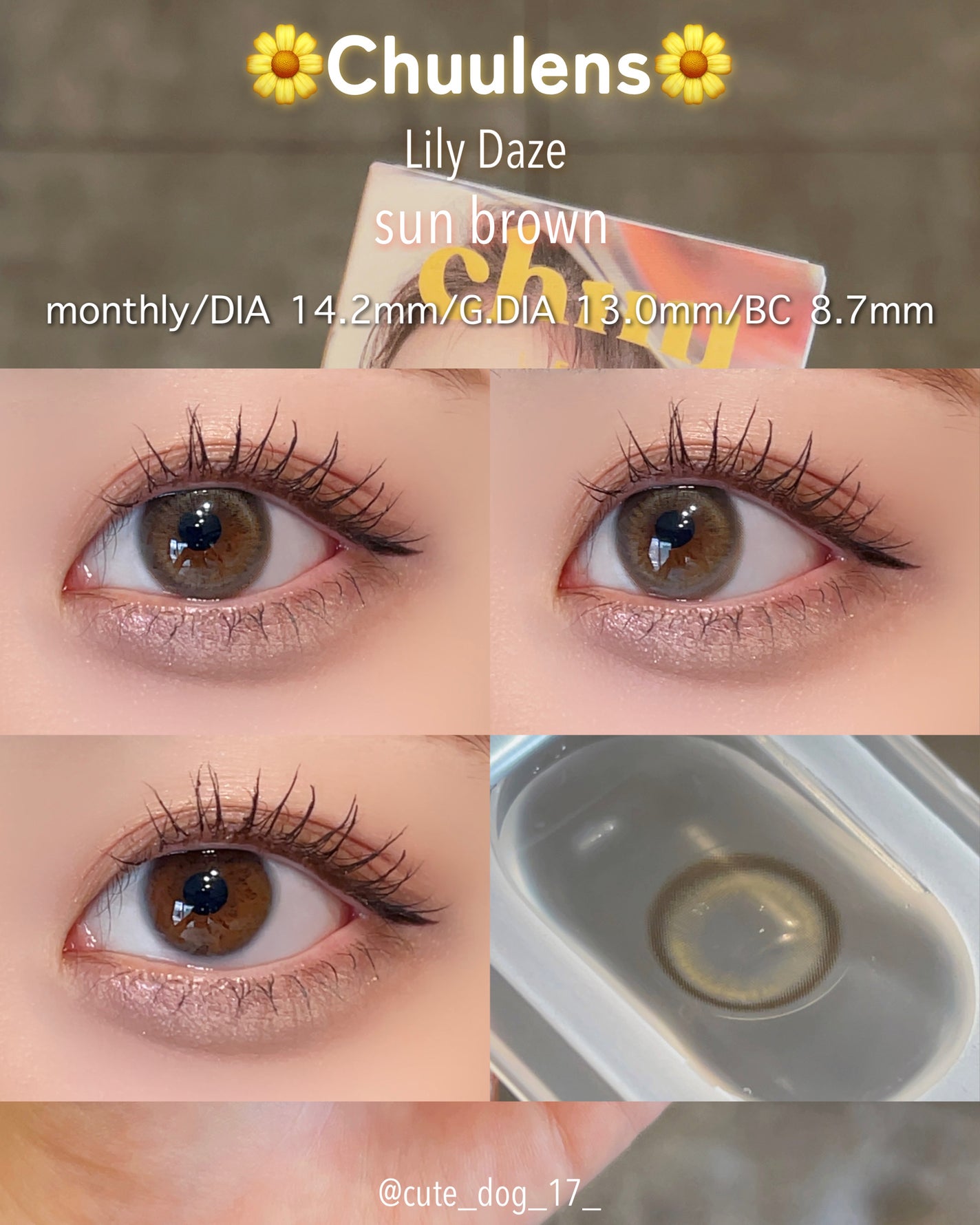 かわいぬ on LIPS 「チューレンズの新シリーズ👀🔭🌼Chuulens🌼LilyDaz..」(3枚目)