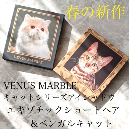 Venus Marble アイシャドウキャットシリーズ/Venus Marble/アイシャドウパレットを使ったクチコミ(1枚目)