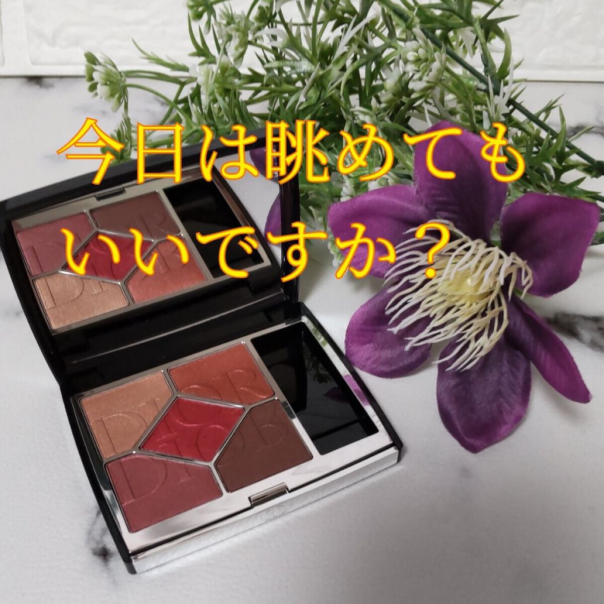 【旧】サンク クルール クチュール/Dior/アイシャドウパレットを使ったクチコミ(1枚目)