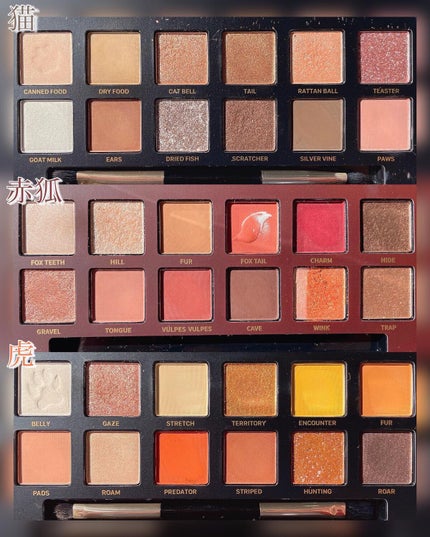 エクスプローラ12色 動物アイシャドウパレット/PERFECT DIARY/アイシャドウパレットを使ったクチコミ(2枚目)