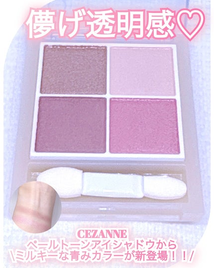 ペールトーンアイシャドウ/CEZANNE/アイシャドウを使ったクチコミ(1枚目)